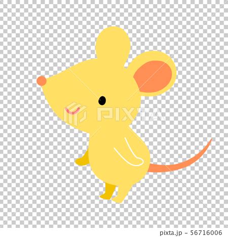 一隻老鼠